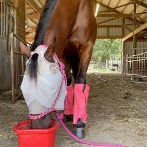 Meet your Posher, Joan